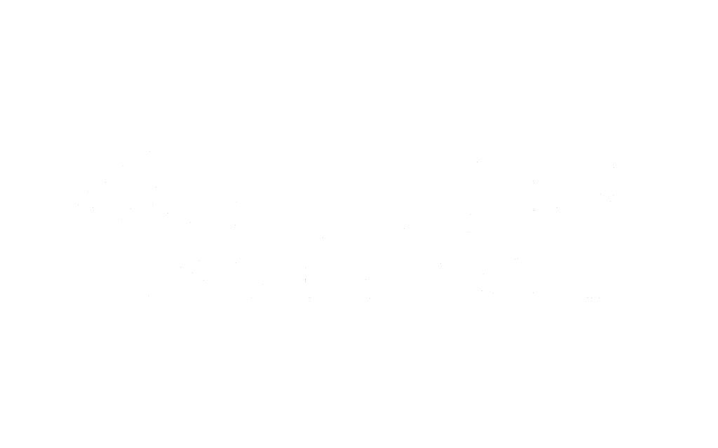 Speedy Holdings Group